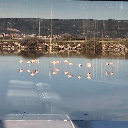 Flamants Roses 3 Frontignan Eksteriør bilde
