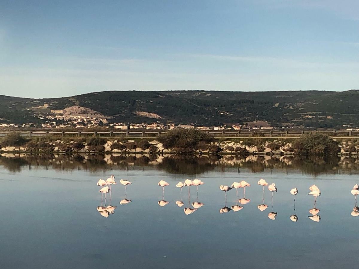 Flamants Roses 3 Frontignan Eksteriør bilde